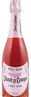 Juve y Camps Brut Rose Cava, Catalonia, Spain (750ml) Discount