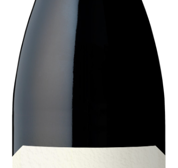 2022 Schug Pinot Noir, Sonoma Coast, USA (750ml) Discount