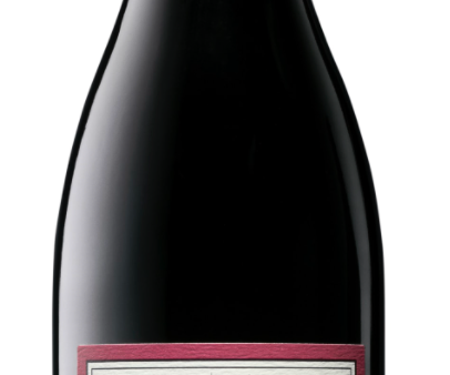 2023 Elk Cove Vineyards Pinot Noir, Willamette Valley, USA (750ml) Online Sale