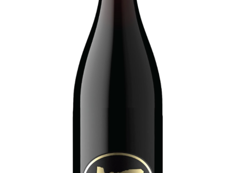 2022 Planet Oregon Pinot Noir, Willamette Valley, USA (750ml) Online now