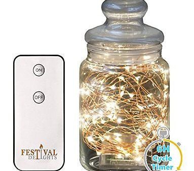 Fairy Lights, LED string lights with Remote and Timer (100 LED) 33ft For Discount