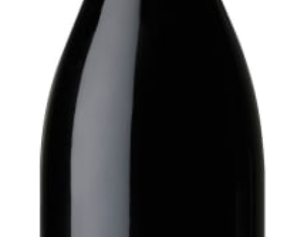 2022 Resonance Pinot Noir, Yamhill-Carlton District - Willamette Valley, USA (750ml) For Cheap