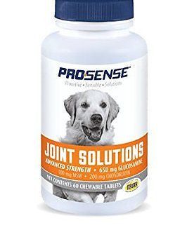 Pro-Sense Joint Care Glucosamine Chewable Tablets Advanced, 60-Count ProSense Supply