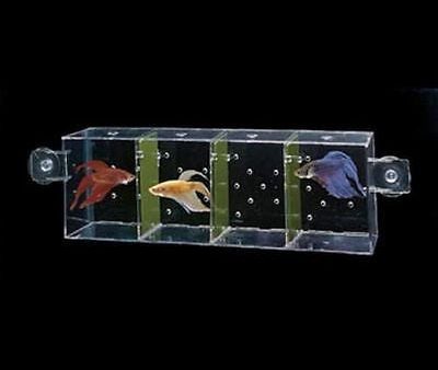 Penn-Plax World Betta Fish Condo Cheap