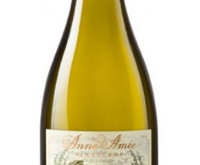 2023 Anne Amie Vineyards Pinot Gris, Willamette Valley, USA (750ml) on Sale