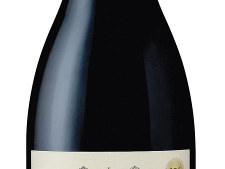 2013 Bergstrom Wines  Bergstrom Vineyard  Pinot Noir, Dundee Hills, USA (750ml) Online Hot Sale