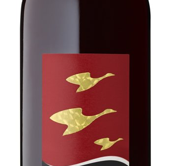 2020 Pelee Island Winery Baco Noir, Ontario, Canada (750ml) For Discount