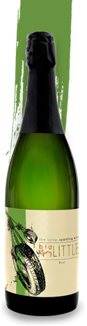 NV bigLITTLE Tire Swing Brut, Leelanau Peninsula, Michigan, USA (750 ml) Hot on Sale