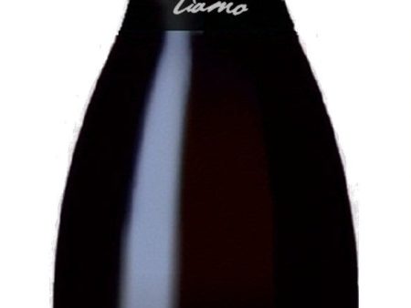 NV Tiamo Prosecco, Veneto, Italy (750ml) Hot on Sale