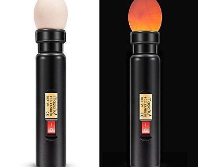 Bright Cool LED Light Egg Candler Tester - Incubator Warehouse Exclusive Hot on Sale